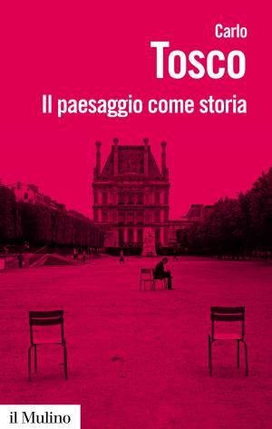 Cover of the book Il paesaggio come storia by Paolo, Casini