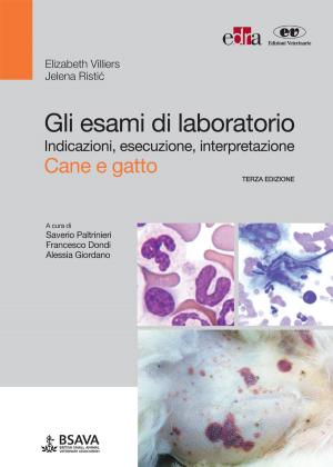 Cover of the book Gli esami di laboratorio by Ezio Bruna, Andrea Fabianelli