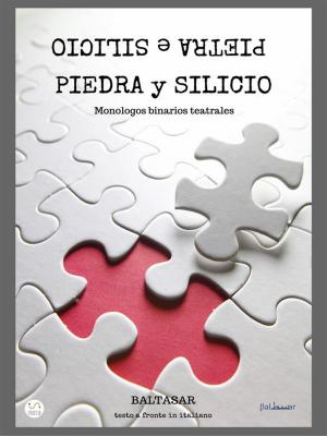 Cover of the book piedra y silicio by Eileen Caddy