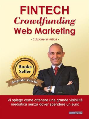 Cover of the book Fintech, Crowdfunding, Web Marketing by Mitch Levin