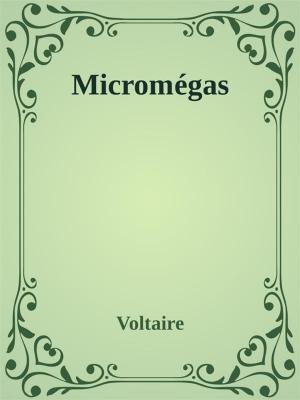 Cover of the book Micromégas by Vicente Blasco Ibáñez