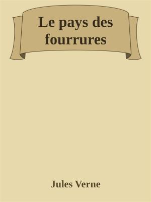 Cover of the book Le pays des fourrures by Cirilo Villaverde