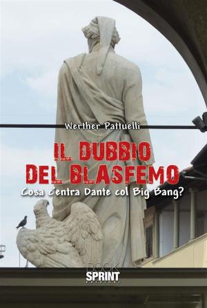 Cover of the book Il dubbio del blasfemo by Jacky Espinosa de Cadelago