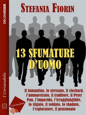 Cover of the book 13 sfumature d'uomo by Faustina Anciute