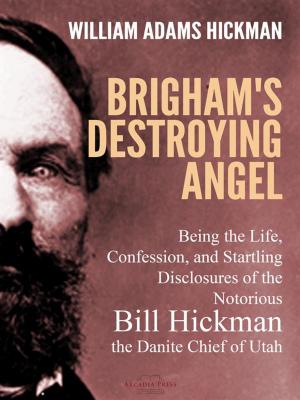 Cover of the book Brigham's Destroying Angel by Alvar Nunez Cabeza De Vaca, cyclone Covey
