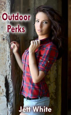 Cover of the book Outdoor Perks by Kate Hewitt