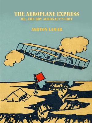 Book cover of The Aeroplane Express or, The Boy Aeronaut's Grit