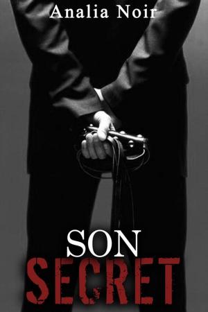 Cover of Son Secret (tome 2)