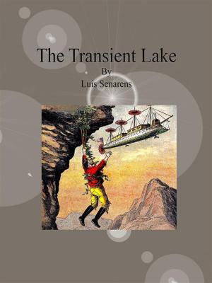 Book cover of The Transient Lake