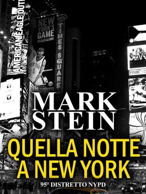 Cover of the book Quella notte a New York by Rachel Maeder