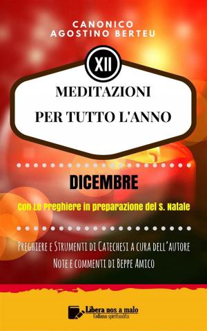 Cover of the book MEDITAZIONI PER TUTTO L’ANNO - Preghiere e Strumenti di Catechesi a cura dell’autore - DICEMBRE by Santa Faustina Kowalska
