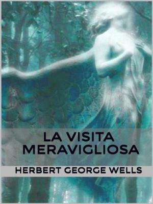 Cover of the book La visita meravigliosa by Padre Egidio