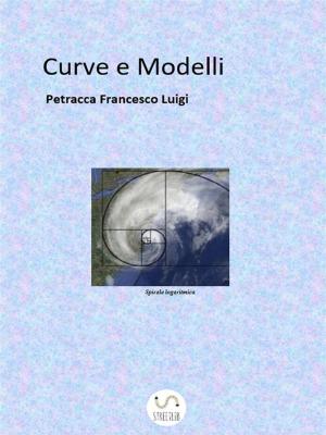 Book cover of Curve e Modelli