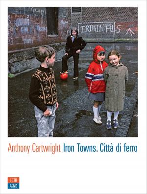 Cover of the book Iron Towns by Gabriele Romagnoli