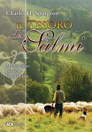 Book cover of Il Tesoro dei Salmi