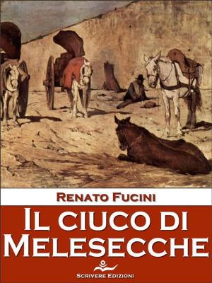 Book cover of Il ciuco di Melesecche