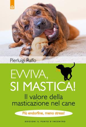 Cover of the book Evviva, si mastica! by Black and White Baby Books