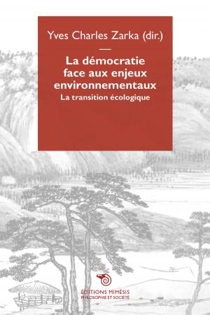 Cover of the book La démocratie face aux enjeux environnementaux by Angelo Villa