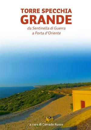 Cover of the book Torre Specchia Grande by Daniele Zumbo