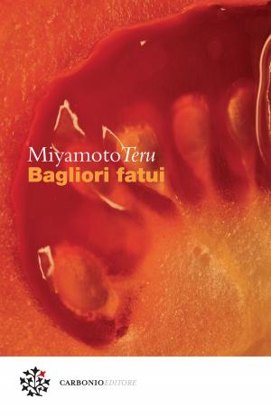 Cover of the book Bagliori fatui by Masha Gessen, Marco Pennisi
