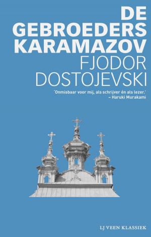 Cover of the book De gebroeders Karamazov by Diet Groothuis