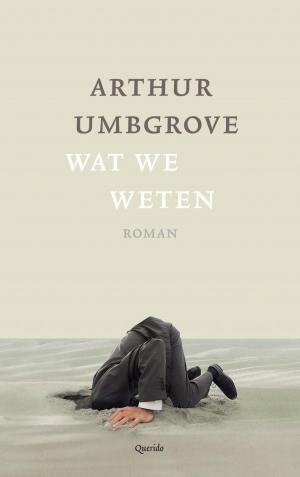 Cover of the book Wat we weten by Arnon Grunberg