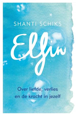 Cover of the book Elfin by Martin Scherstra