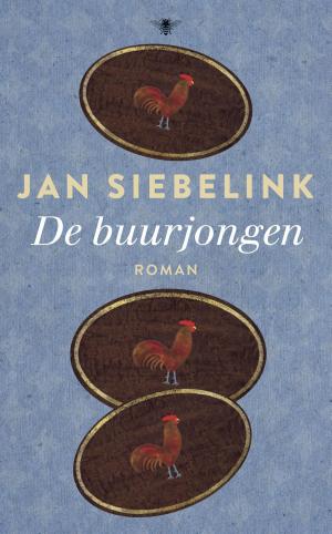 Book cover of De buurjongen