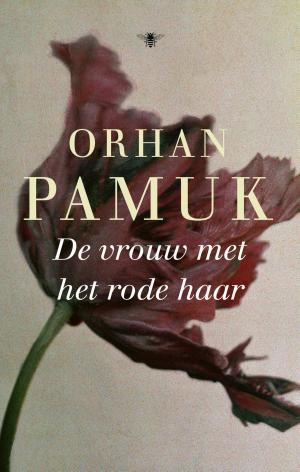 Cover of the book De vrouw met het rode haar by Philipp Blom