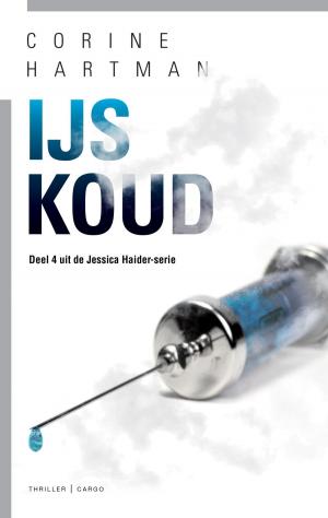 Cover of the book IJskoud by Coen Verbraak