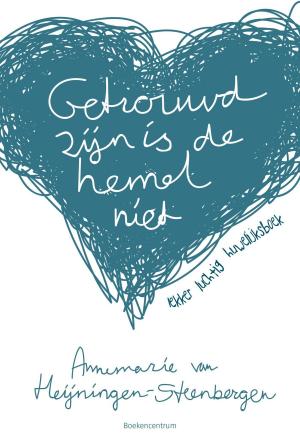 Cover of the book Getrouwd zijn is de hemel niet by A.C. Baantjer
