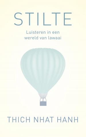 Cover of the book Stilte by Dick van den Heuvel