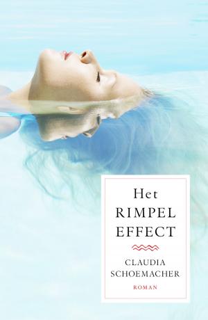 Cover of the book Het rimpeleffect by Susanne Saville