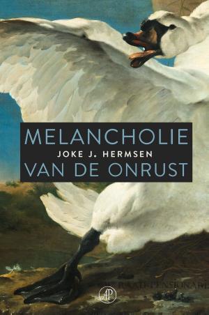 Cover of the book Melancholie van de onrust by Delphine de Vigan