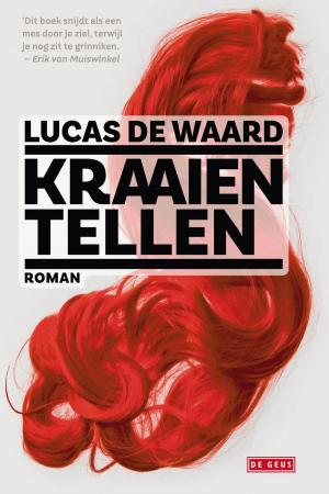 Cover of the book Kraaien tellen by Anders Roslund, Stefan Thunberg