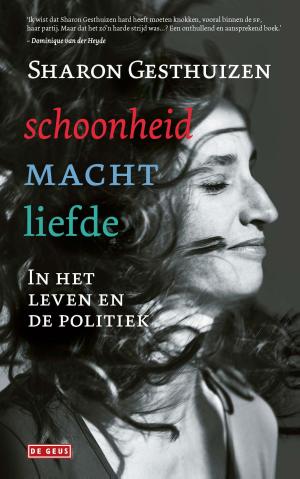 Cover of the book Schoonheid macht liefde by Antoon Coolen