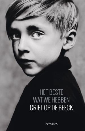 Cover of the book Het beste wat we hebben by Luuc Kooijmans