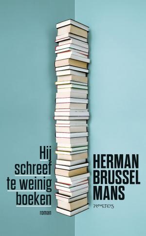 Cover of the book Hij schreef te weinig boeken by J.L.G. van Oudheusden