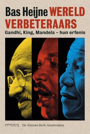 Cover of the book Wereldverbeteraars by Luuc Kooijmans