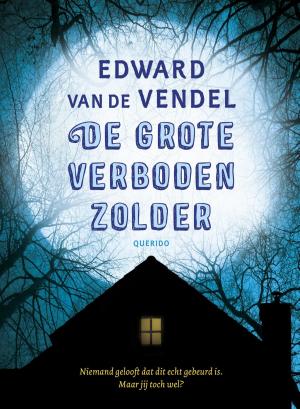 Cover of the book De grote verboden zolder by Willem van Toorn