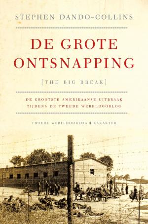 Cover of the book De grote ontsnapping by Joost van Bellen