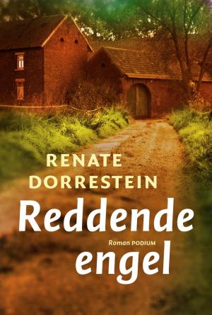 Cover of the book Reddende engel by DBC Pierre