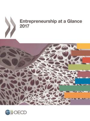 Cover of the book Entrepreneurship at a Glance 2017 by Jaap Peters, Harold Janssen