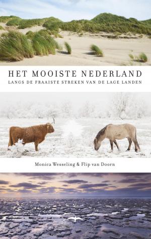 Cover of the book Het mooiste Nederland by Manon Uphoff