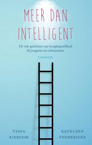 Cover of the book Meer dan intelligent by Lília Maria de Azevedo Moreira