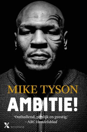 Cover of the book Ambitie! by Mirko Zilahy
