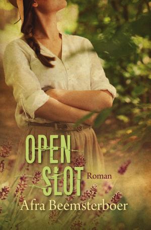 Cover of the book Open slot by Johanne A. van Archem