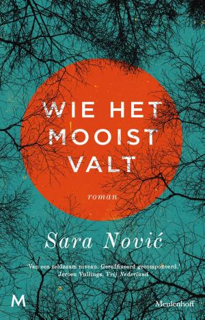 Cover of the book Wie het mooist valt by Siska Mulder
