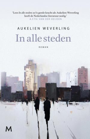 Cover of the book In alle steden by Patricio Pron