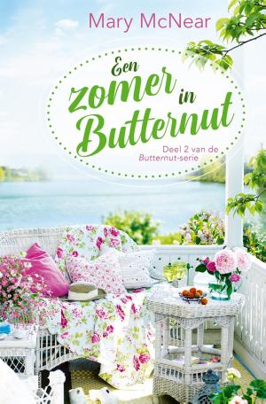 Cover of the book Een zomer in Butternut by Jeffery Deaver